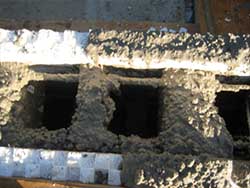 Difetti del cemento nei casseri